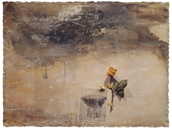 司徒強 SZETO Keung, 黃花 Lamenting, 1996