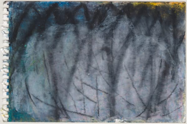 張安 ZHANG An, 杏樹 Apricot Tree, 2017