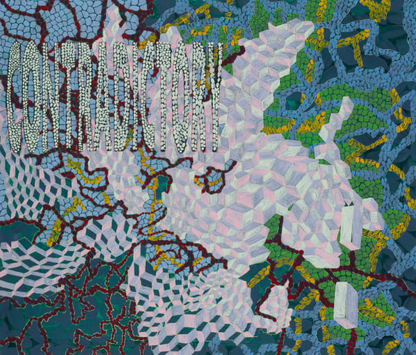 王玫玲 Mei Ling WANG, 矛盾 Contradictory, 2022