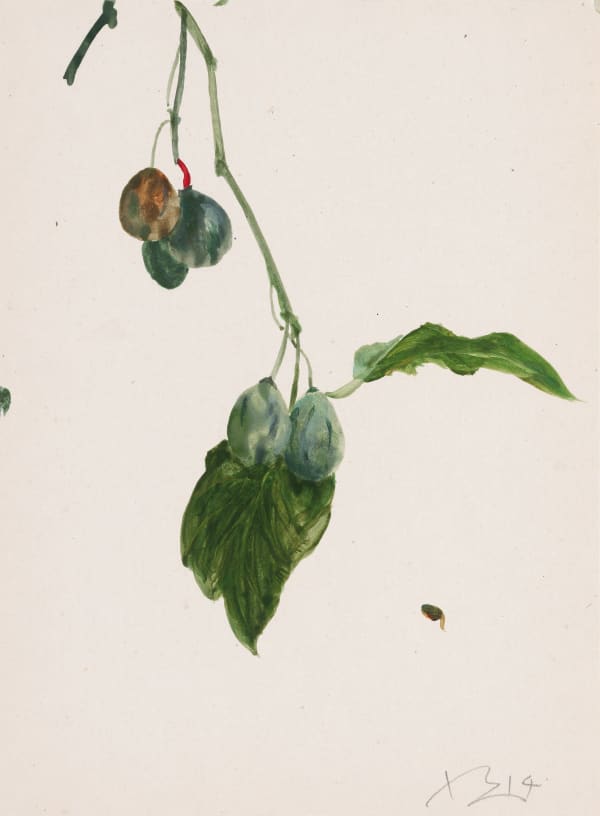 劉小東 LIU Xiaodong 記憶樹紙上作品 no.1 Memory Tree Work on Paper no.1, 2014 壓克力顏料/紙 Acrylic on paper 27 x 20 cm