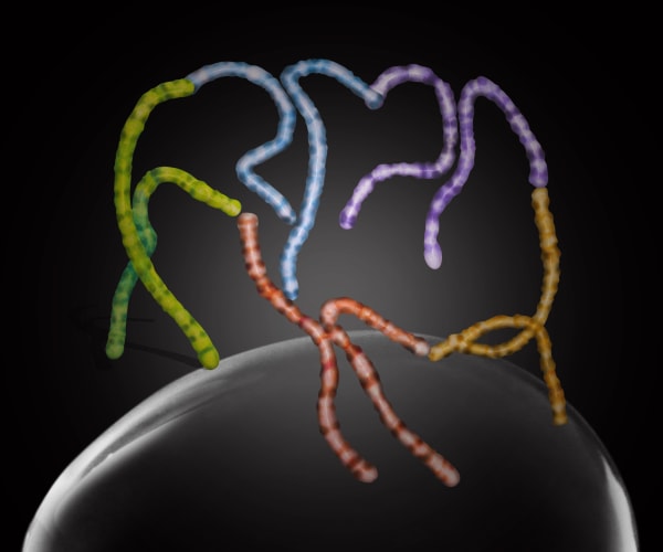 劉世芬 LIU Shih-Fen 舞 舞 舞 Dance, Dance, Dance, 2022 色鉛筆素描結合數位影像/輸出於紙上(水晶裱褙) Color pencil sketches combined with digital image, print on paper, mounting on dibond, and face-mounted on acrylic 13 3/4 x 16 1/2 in, 3 Ed. + 1 A.P. 35 x 42 cm, 3 Ed. + 1 A.P.