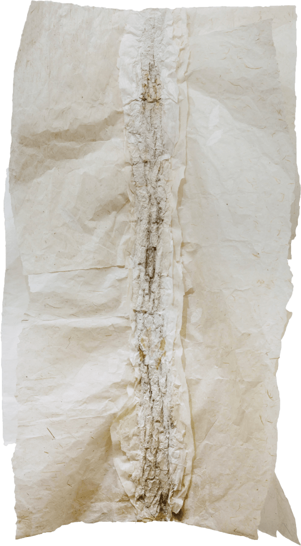 林延 LIN Yan 室外空氣 Air from Outside, 2013 紙 Paper 60 5/8 x 29 7/8 x 4 3/4 in 154 x 76 x 12 cm