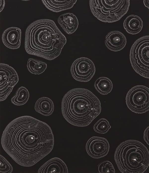 能條雅由 Masayoshi NOJO, 連結 #9 Link #9, 2022