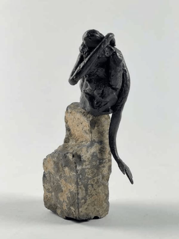 Emil Alzamora, Root, 2004