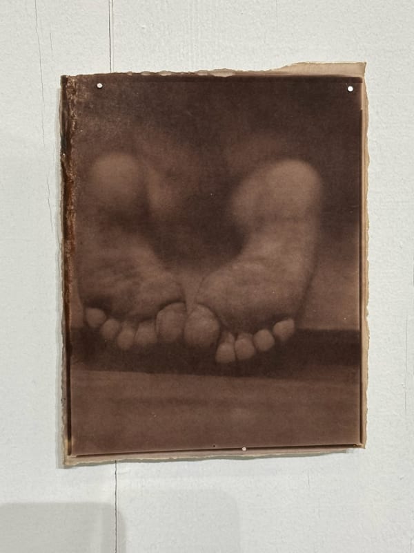 Hal Hirshorn, Untitled, c. 2000–2025