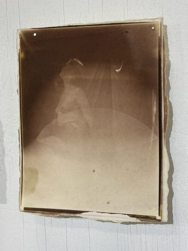 Hal Hirshorn, Untitled, c. 2000–2025