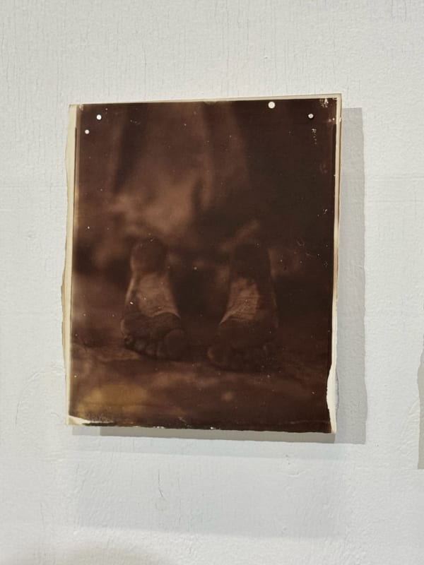 Hal Hirshorn, Untitled, c. 2000–2025