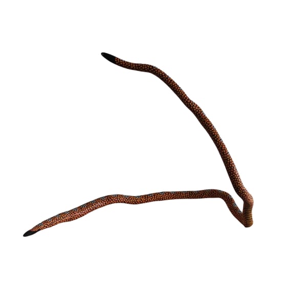 David Cooley Wanampi - Water Serpent, 2018 carved and painted wood 55.8 x 74 x 53.2 cm 22 x 29 1/8 x 21 in