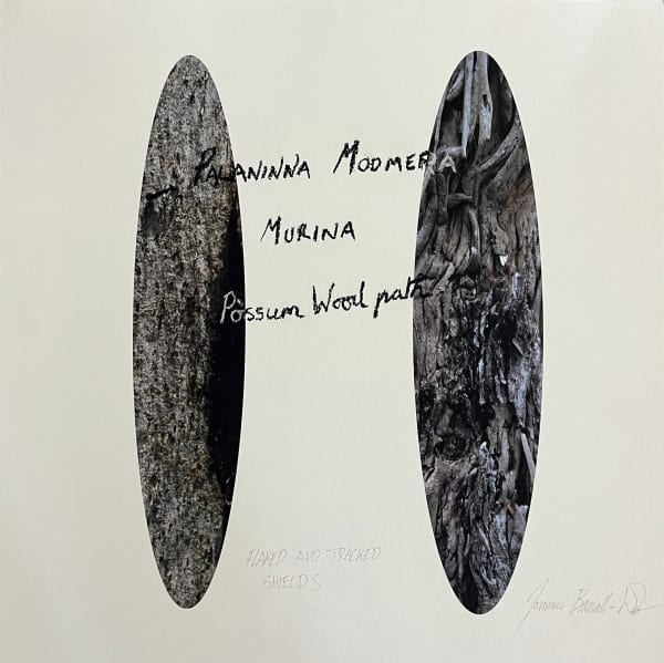 Dominic White, Palaninna Moomera Murina (Possum Wood Path), 2017