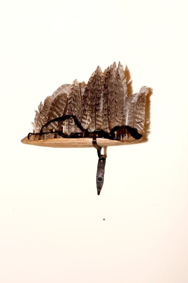 Dominic White, Feather Sailing Coolamon