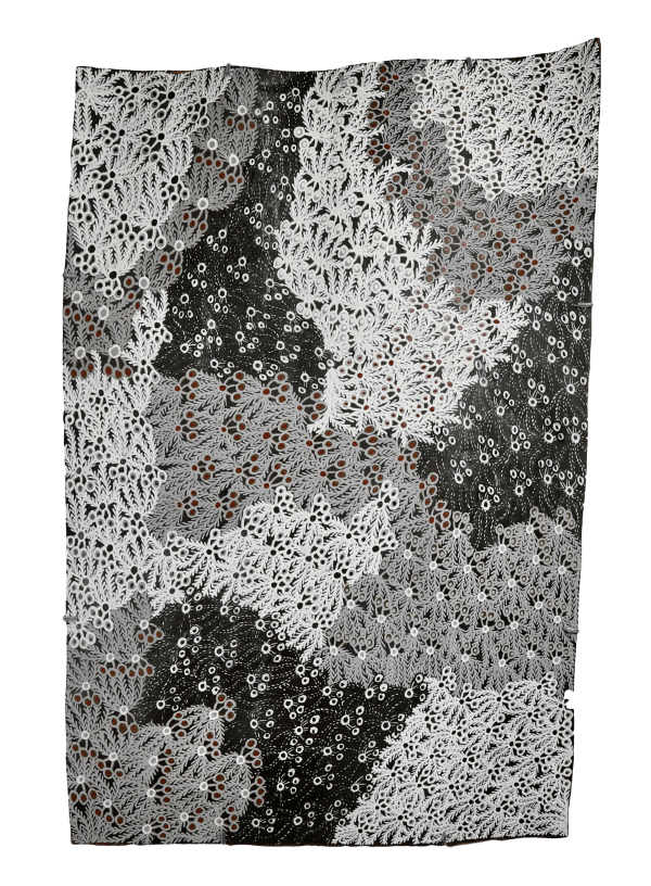 Muluymuluy Wirrpanda Buḻwutja, 2020 earth pigments on stringybark 95 x 63 cm 37 3/8 x 24 3/4 in