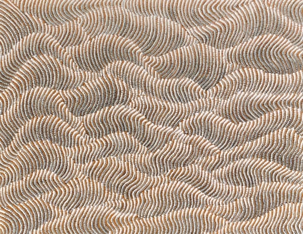 Maureen Hudson Nampitjinpa Tali - Sandhills, 2019 acrylic on canvas 91 x 122 cm 35 7/8 x 48 1/8 in