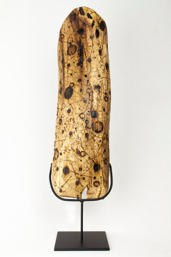 Dominic White Binary Grasstree Thinking cherry ballart, Xanthorroea resin 60 x 17 x 11 cm (73 x 17 x 15 cm mounted) 23 5/8 x 6 3/4 x 4 3/8 in