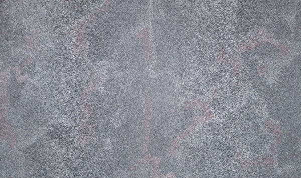 Caroline Petrick Ngwarreye Amper Achinya - My Beautiful Country, 2022 acrylic on linen 90 x 150 cm 35 3/8 x 59 1/8 in