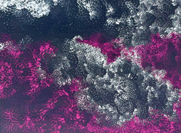 Amanda Jane Gabori, Dibirdibi Scales, 2017