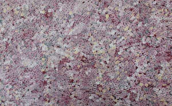 Belinda Golder Kngwarreye Bush Plum, 2022 acrylic on linen 90 x 150 cm 35 3/8 x 59 1/8 in