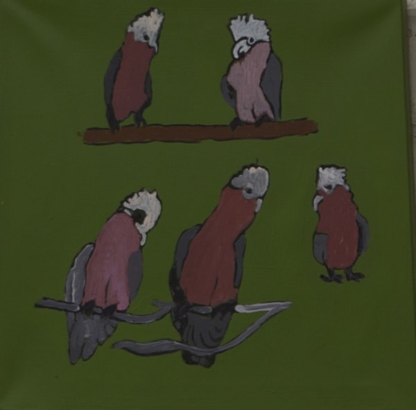 Jeffrey Lewis Kayarkiyarpa (Galah) , 2020 acrylic on linen 40 x 40 cm 15 3/4 x 15 3/4 in