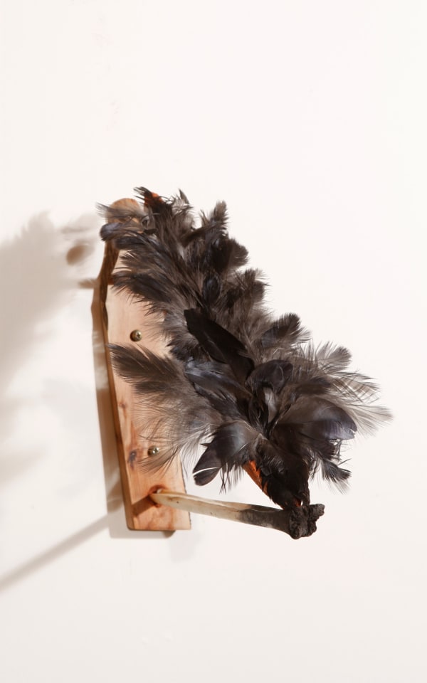 Dominic White Sealer's Row, 2019 ochre, feathers, resin, nails, seal knuckle, kangaroo bone, cherry ballart 30 x 50 x 39 cm 11 3/4 x 19 3/4 x 15 3/8 in