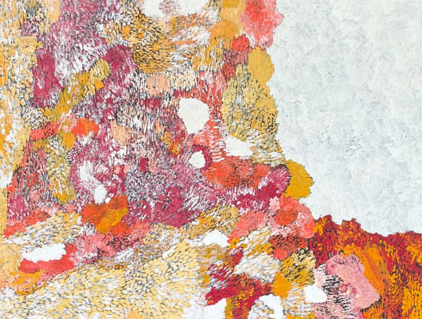 Amanda Jane Gabori, Ninyilki, 2010