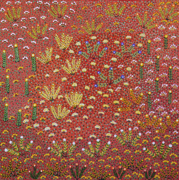 Kindy Kemarre Ross My Country is Irrultja , 2020 acrylic on linen 76 x 76 cm 29 7/8 x 29 7/8 in
