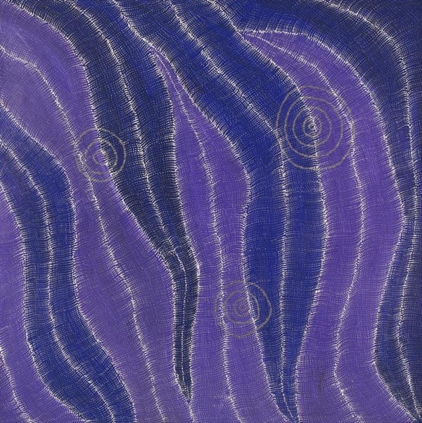 Debbie Napaljarri Brown, Wanakiji Jukurrpa (Bush Tomato Dreaming)