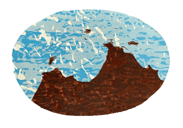 Dominic White, Coolamon Map 2, 2019