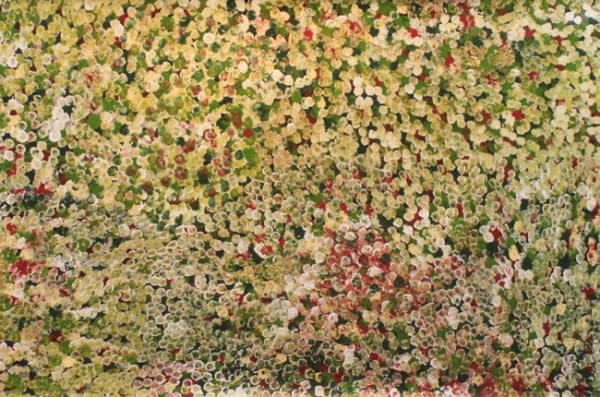 Belinda Golder Kngwarreye Bush Plum Flowers, 2020 acrylic on linen 100 x 150 cm 39 3/8 x 59 1/8 in