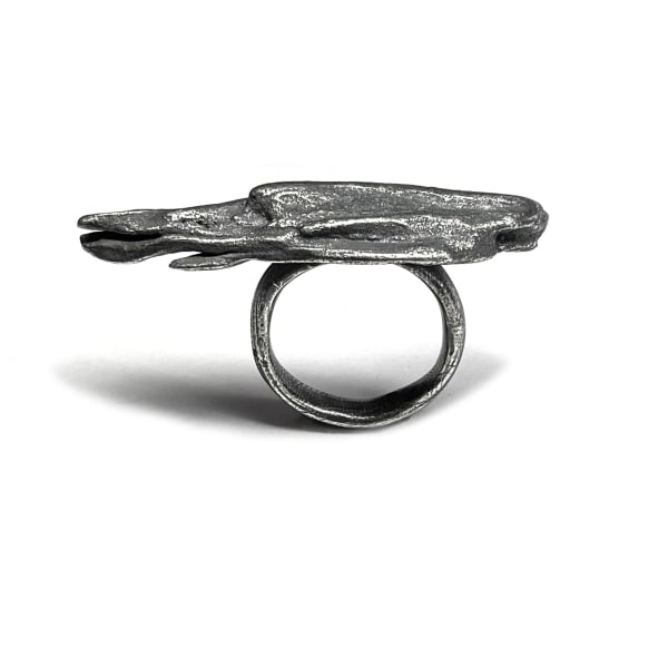 Melinda Young, Drift Series - Long Ring (Gumbaynggirr Country/Dharawal Country, NSW), 2021/2024