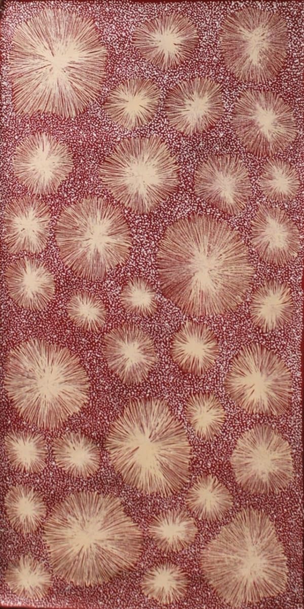 Jill Kelly Kemarre, Fire Story, 2020