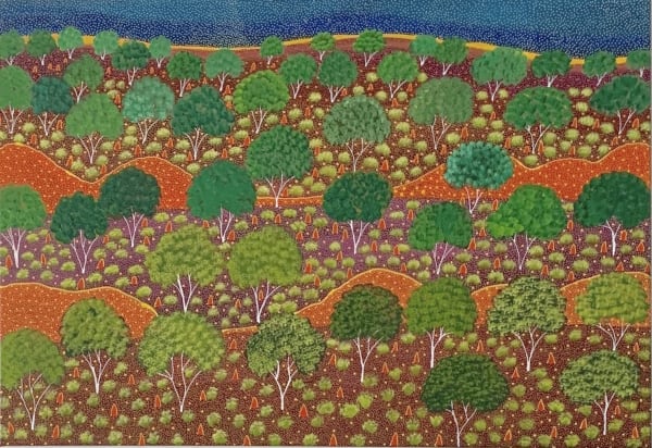Selina Teece Pwerle Antarrengeny, 2021 acrylic on linen 70 x 100 cm 27 1/2 x 39 3/8 in