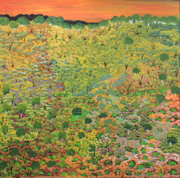 Ada Pula Beasley My Country , 2021 acrylic on linen 89 x 89.5 cm 35 1/8 x 35 1/4 in