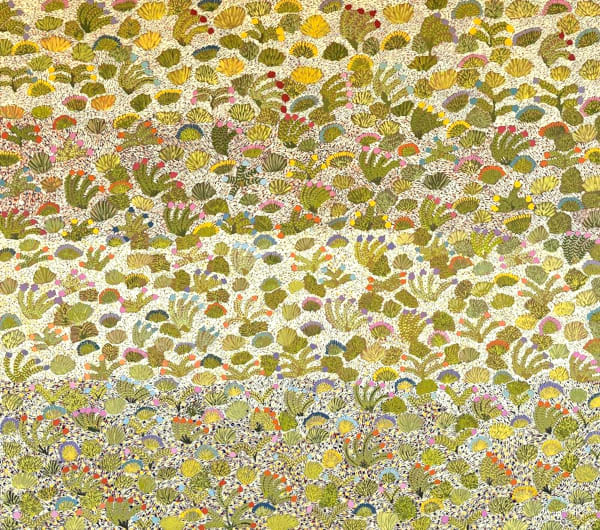 Joyrene Ngwarraye Holmes Bush Medicine Plants, 2024 acrylic on linen 107 x 122 cm 42 1/8 x 48 in