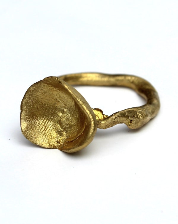 Emily McCulloch Childs, Jacky Winter Gardens Ring (Wurundjeri and Bunurong Country, VIC), 2023