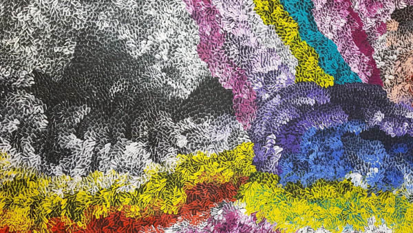 Amanda Jane Gabori Dibirdibi Dibirdibi Scales, 2019 acrylic on canvas 90 x 150 cm 35 3/8 x 59 1/8 in