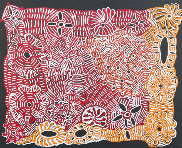 Doris Bush Nungarrayi Kapi Tjukitji & Bush Mangarri Tjuta, Nyunmanu, 2019 acrylic on linen 122 x 152.5 cm 48 1/8 x 60 1/8 in