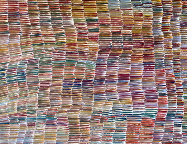 Jeannie Mills Pwerle Yam Dreaming acrylic on linen 150 x 190 cm 59 1/8 x 74 3/4 in