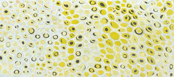 Amanda Jane Gabori Dibirdibi Kuru - Catfish Eggs, 2011 synthetic polymer paint on linen 61 x 135 cm 24 x 53 1/8 in