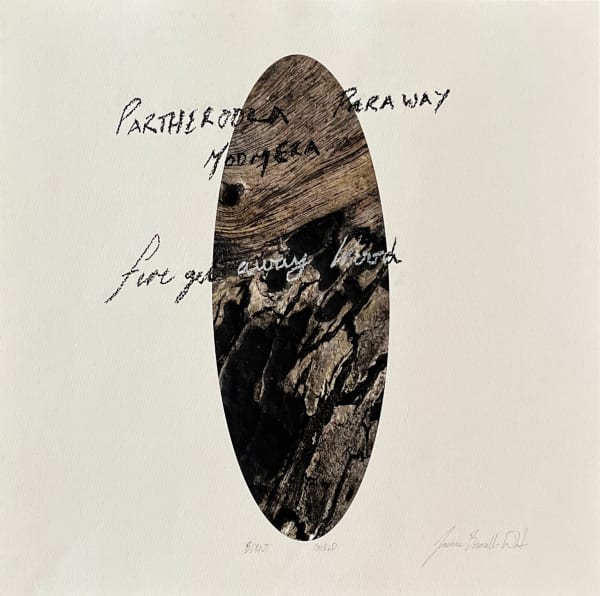 Dominic White Partheroola Paraway Moomera (Fire Get Away Wood), 2017 inkjet print on cotton rag paper, charcoal (framed) 55 x 55 cm (image size) 21 5/8 x 21 5/8 in