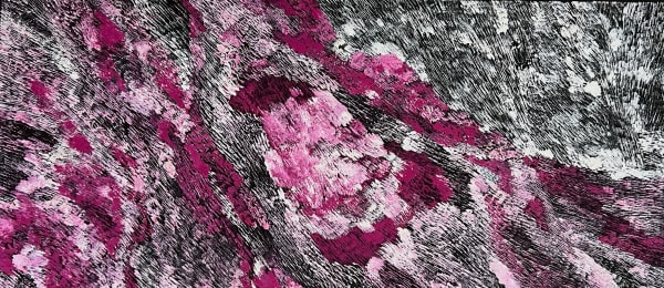 Amanda Jane Gabori Dibirdibi Scales , 2019 acrylic on canvas 60 x 135 cm 23 5/8 x 53 1/8 in