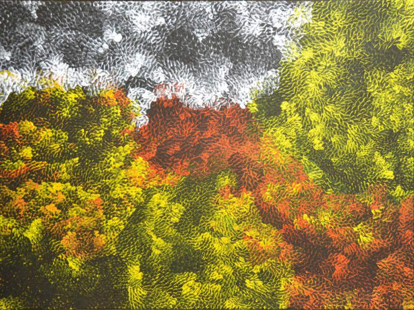 Amanda Jane Gabori Dibirdibi, Dibirdibi Totem, 2014