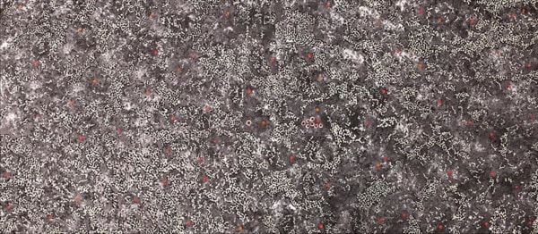 Priscilla Napurrurla Herbert, Yanjirlpirri or Napalijarri-Marnu Jukurrpa ( Star Or Seven Sisters Dreaming ) , 2020