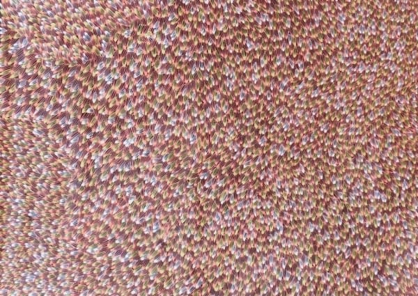 Abie Loy Kemarre Bush Medicine Leaves, 2017 acrylic on linen 85 x 115 cm 33 1/2 x 45 1/4 in