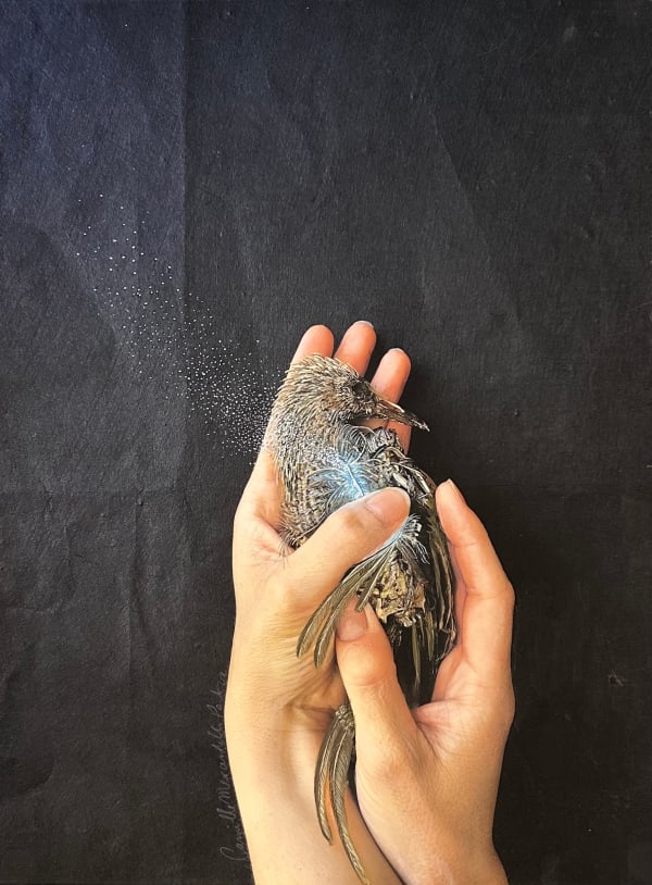 Camille Mercandelli-Park, Still life (bulbul aux oreillons bruns), 2022