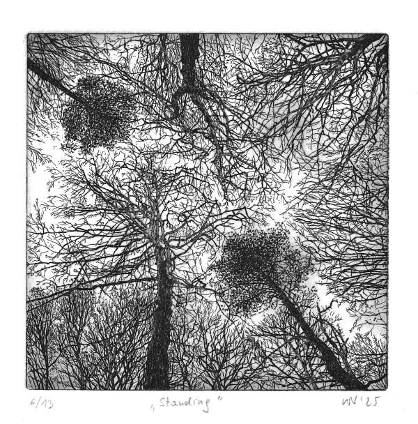 Wieslawa Nowicka, Standing, 2025