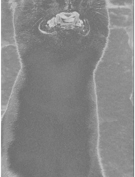 Duo Marie Hervé, Elsa Martinez, Série Aura #11, 2024