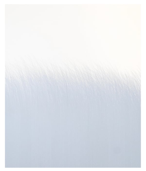 Robinson Haas - 100324, 2024