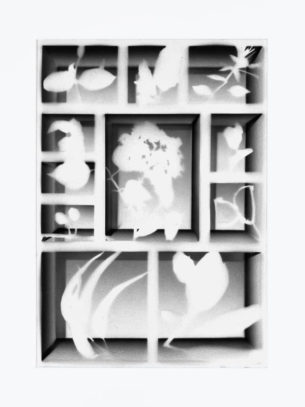 Clément Fourment, Leporellos 5, 2025