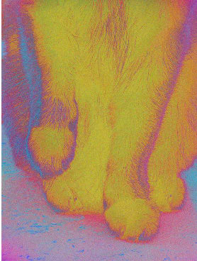 Duo Marie Hervé, Elsa Martinez, Série Aura #10, 2024