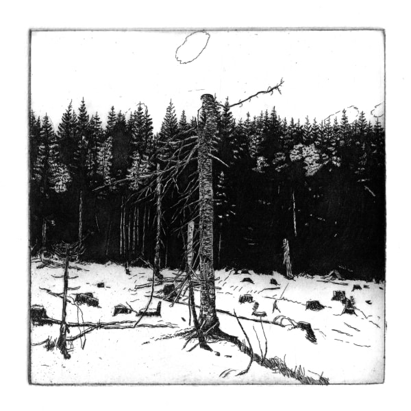 Wieslawa Nowicka, What We Will Have Left, 2025