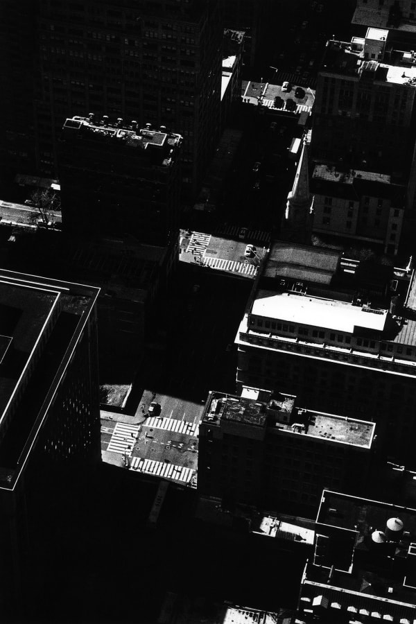 Kit Young, 5th Avenue, New York , 2016